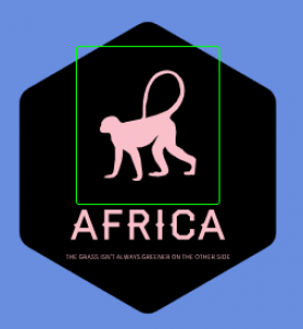 African adventure